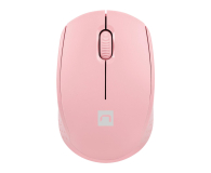 Natec MYSZ NATEC STORK 1600DPI RÓŻOWA - 1480396 - zdjęcie 1